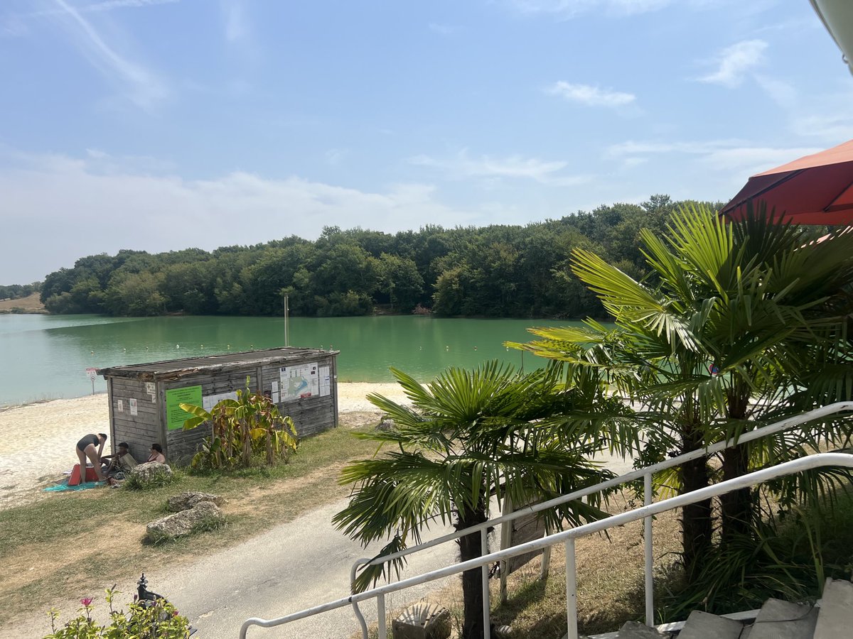 Rhonda Thompson 🇬🇧 tweet media