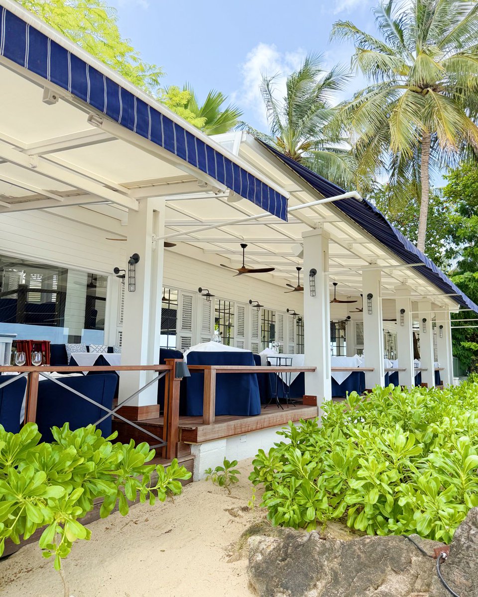Lone Star Barbados tweet media
