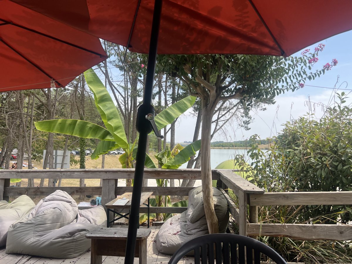 Rhonda Thompson 🇬🇧 tweet media