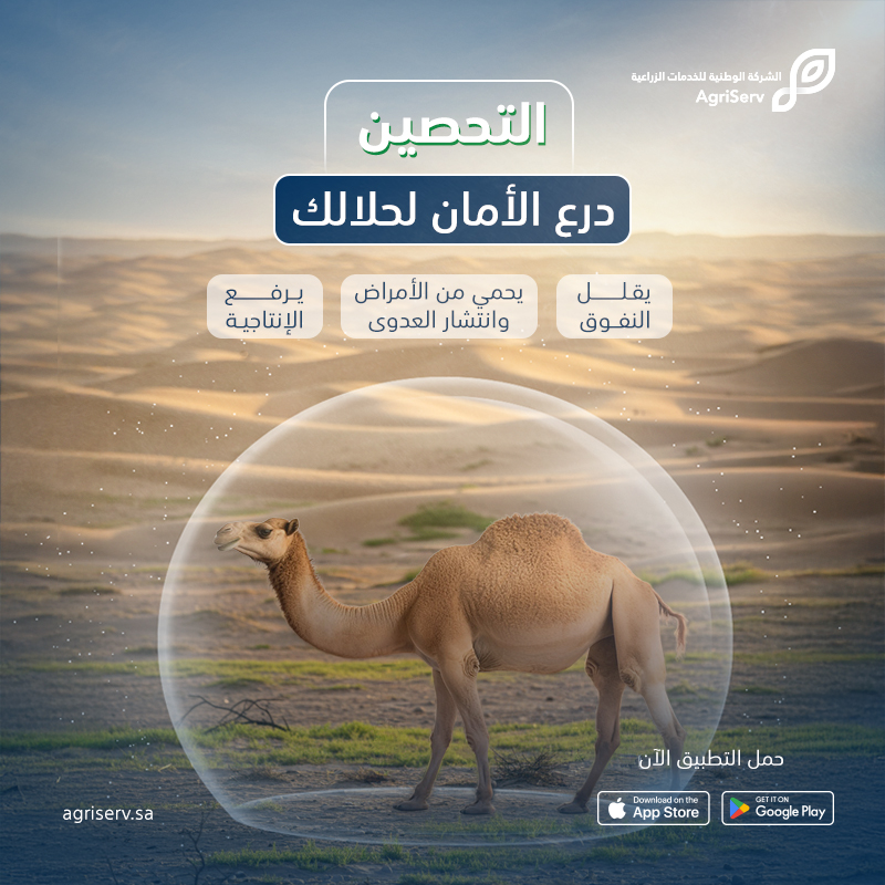 AgriServ_sa's tweet photo. احمِ حلالك من الأمراض الوبائية الخطيرة، وقلّل من الخسائر المحتملة بتحصين بيطري وقائي يعتمد على جداول علمية معتمدة
احجز خدمة التحصين الميداني الآن 
من خلال تطبيق الخدمات الزراعية