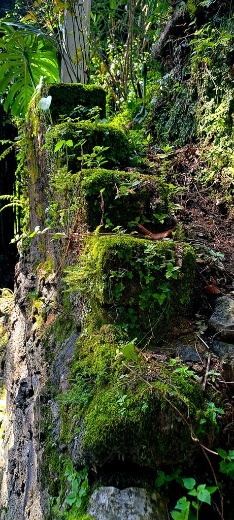 ...diversas condiciones...