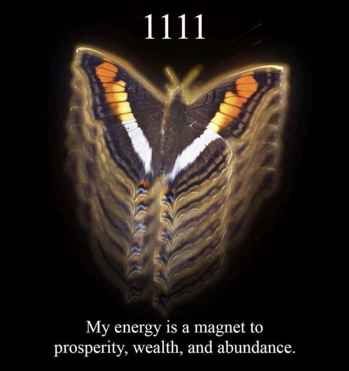 ✨️1111✨️

Affirm it with gratitude!✨️