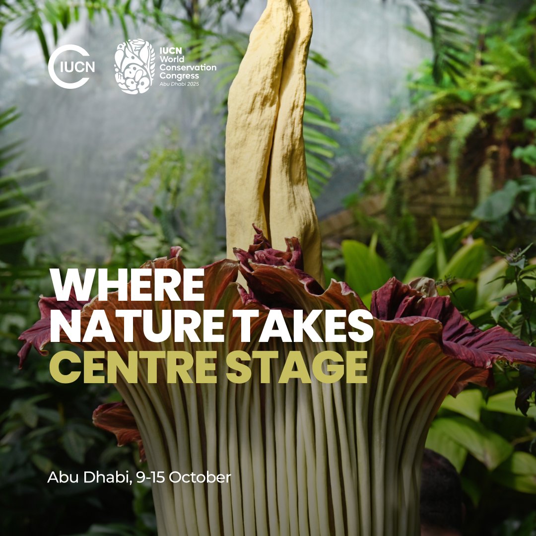Join us at #IUCNCongress 🌍

We will be:
- Presenting our new report on mainstreaming behaviour change - doi.org/10.64234/CBCNA…
- Leading an ethics workshop for conservation behaviour change

Attending? Drop a comment - let's connect in Abu Dhabi!