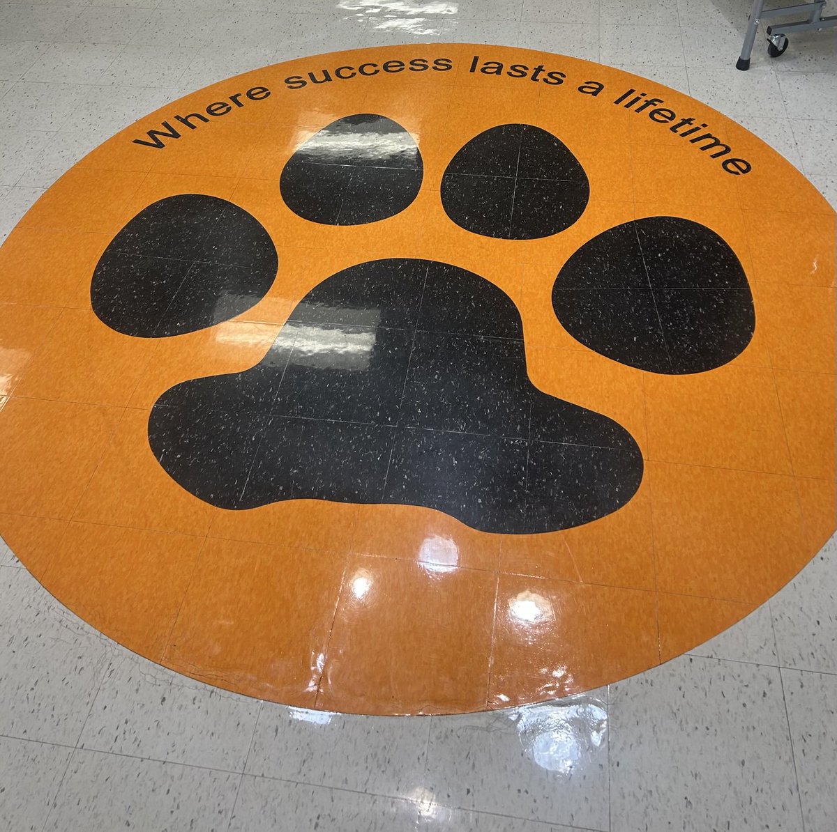 SVVSDsupt's tweet image. I loved seeing our students back in the Mead Schools this morning. Thank you to our dedicated staff throughout the district who made sure our classrooms and schools looked perfect for their arrival! 🙏 #StVrainStorm #StVrainAdvantage