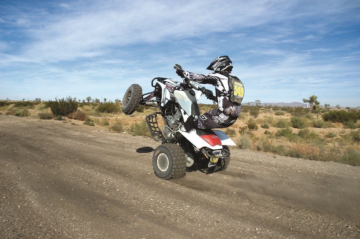 The Fiercest and Saddest of the Wild Things tweet media