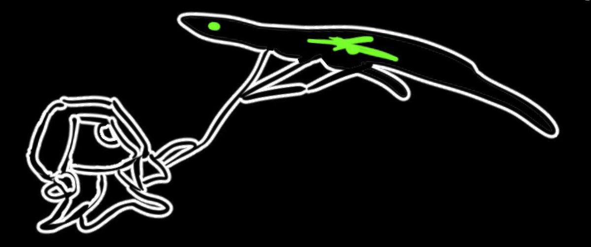 Daily Yuuki Terumi tweet media