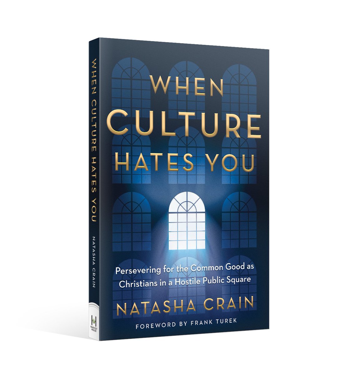 I've read extensively in the last few months on political philosophy (both secular and Christian books). One of the biggest realizations I've had during this time is how much our society celebrates "democracy" as though it will inherently produce good ends (I put democracy in