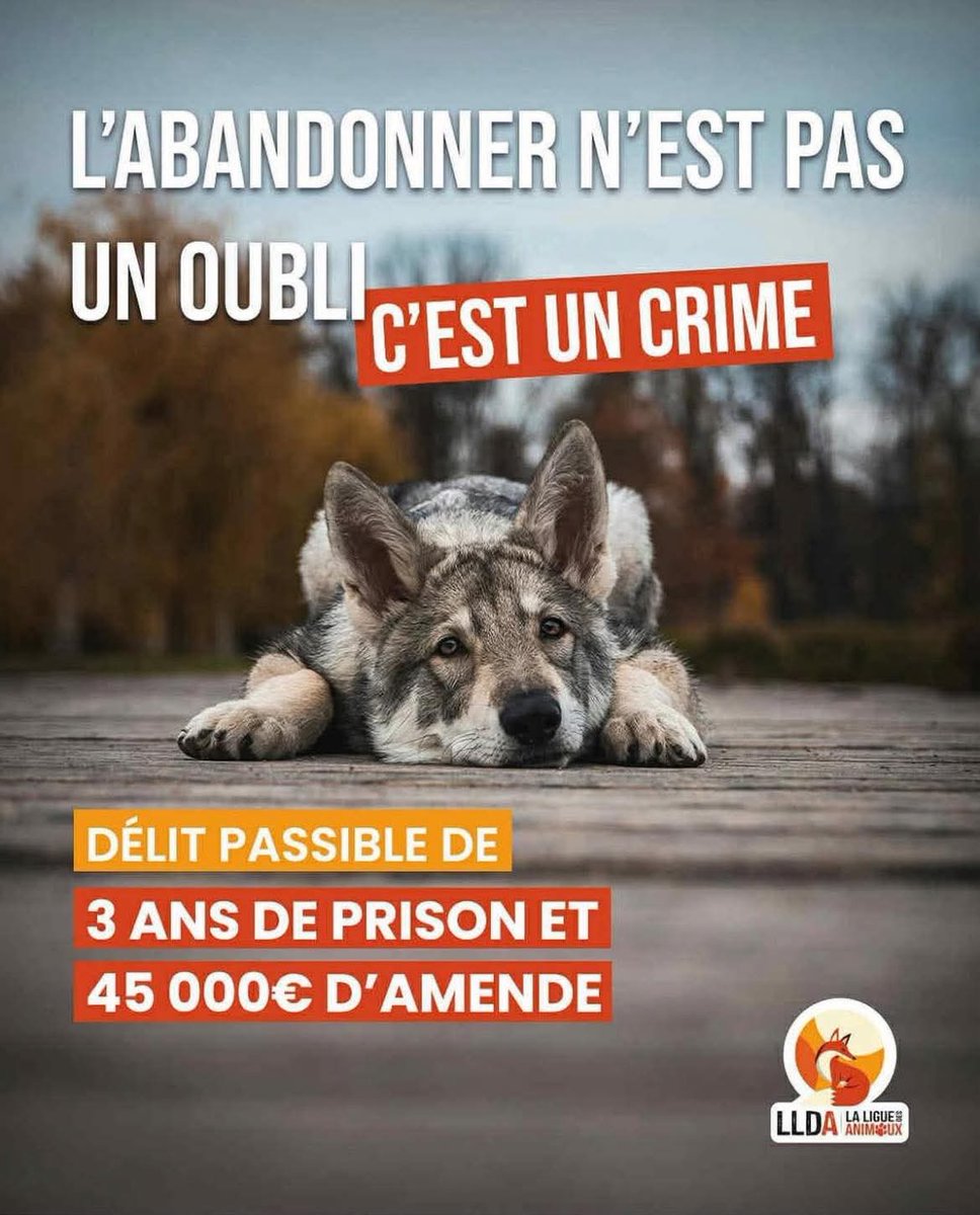 Adea Claude (@adeaclaude) on Twitter photo 