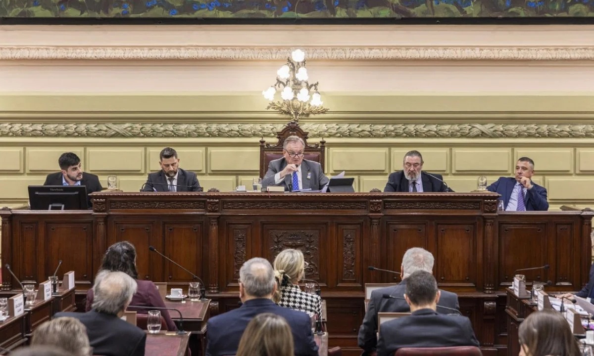Cámara de Senadores (@senadosantafe) on Twitter photo 🗨️ El senador <a href="/felipemichlig/">Felipe Michlig</a> destacó el diálogo y la amplia participación ciudadana en la primera etapa de la Convención Reformadora
📲 senadosantafe.gob.ar/noticias/felip… 🗨️ El senador <a href="/felipemichlig/">Felipe Michlig</a> destacó el diálogo y la amplia participación ciudadana en la primera etapa de la Convención Reformadora
📲 senadosantafe.gob.ar/noticias/felip…