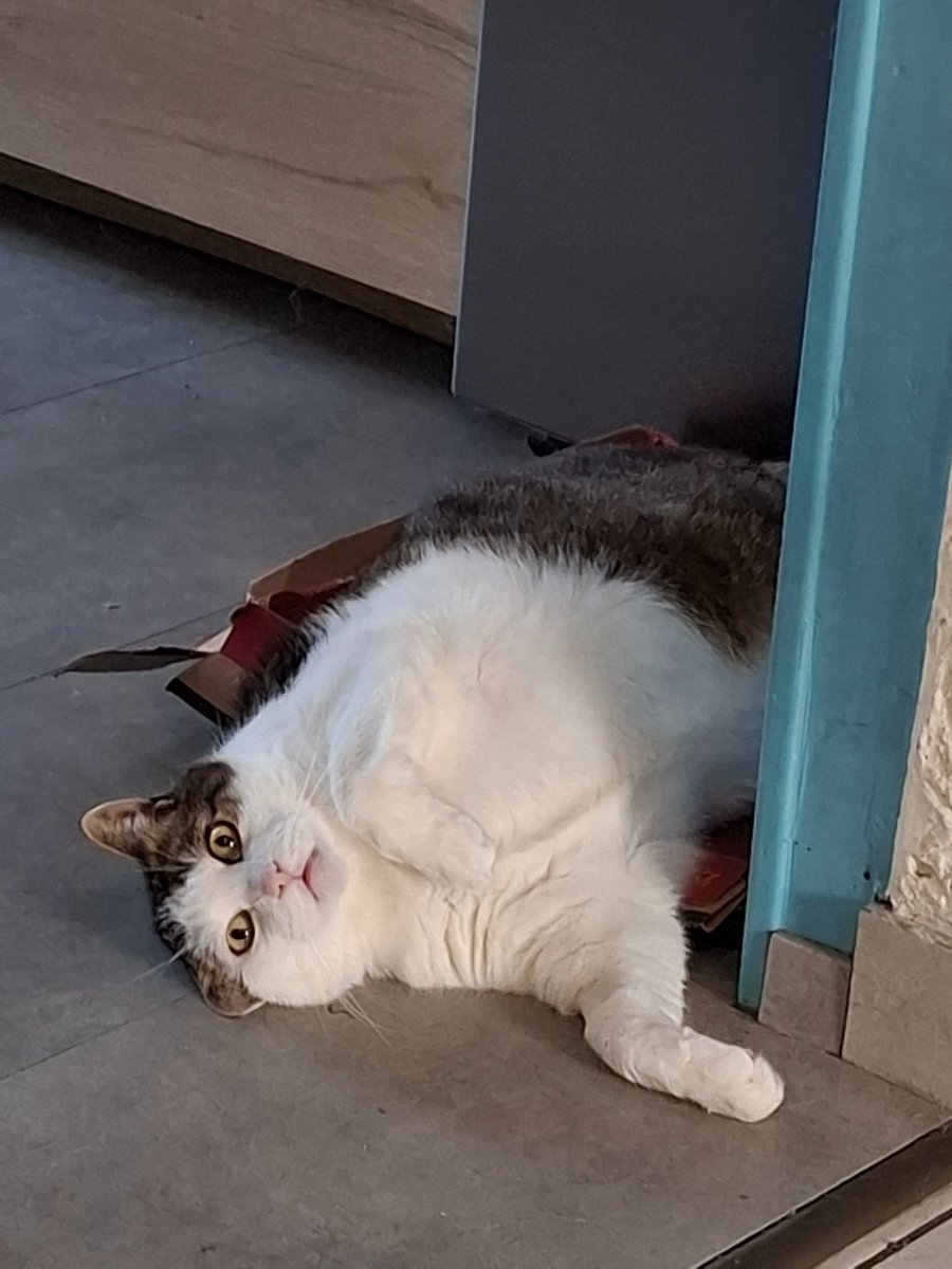 Ukime Syndulla tweet media