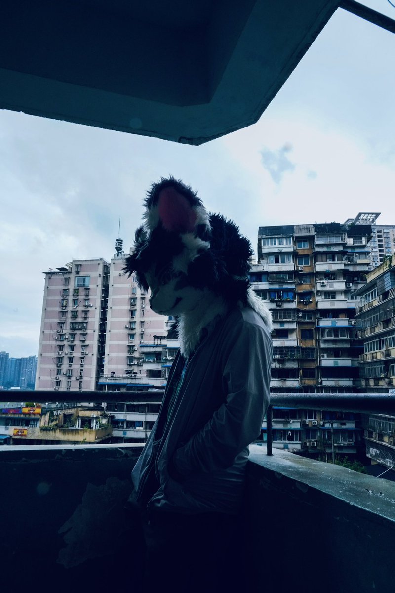 风骚yogurt tweet media