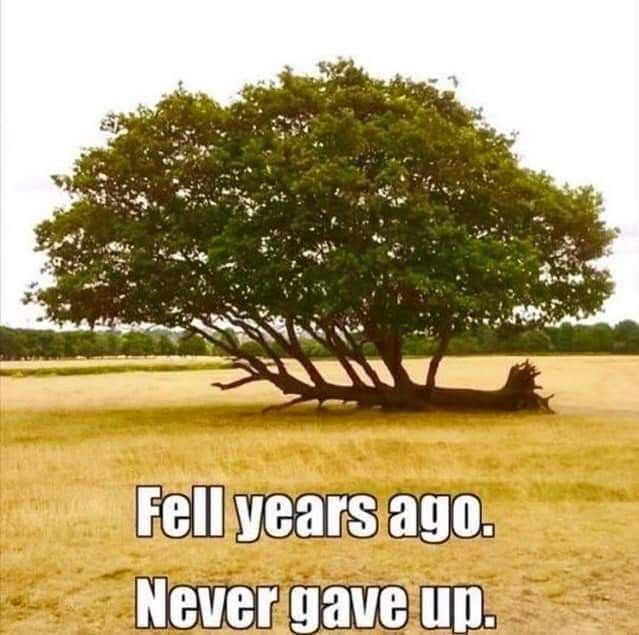 Jani Kylä-Harakka (@kylaharakka) on Twitter photo 