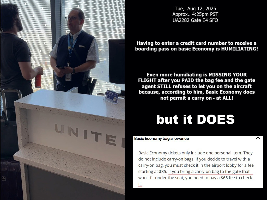 SteveBatLarge tweet media