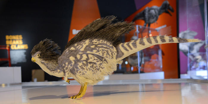 🖤 { Spookyonyx } 🖤 tweet media