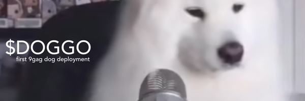 perpsfun's tweet image. the first $DOGGO deployed on 9GAG deserves a community. fellow meme collectors may join the conversation.

Hj4B8Gbk9bbTyX93RHs3VqMaKUDHhqLdvTFpyfzc9gag

x.com/i/communities/…
