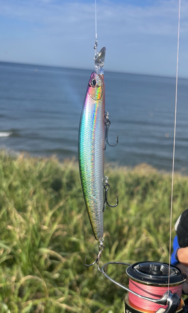 暑い！魚なし！眠い！釣れない！
そして隣でリア充釣りしてて、
このクソ暑い中熱々で羨ましい！
の5コンボくらったんで帰ります

135MD使ってみたけど沈下速度遅くて
レンジを探りやすい笑笑
後泳ぎはジャーキングが結構いい動きする
強いていえばもうちょい飛距離が欲しい、