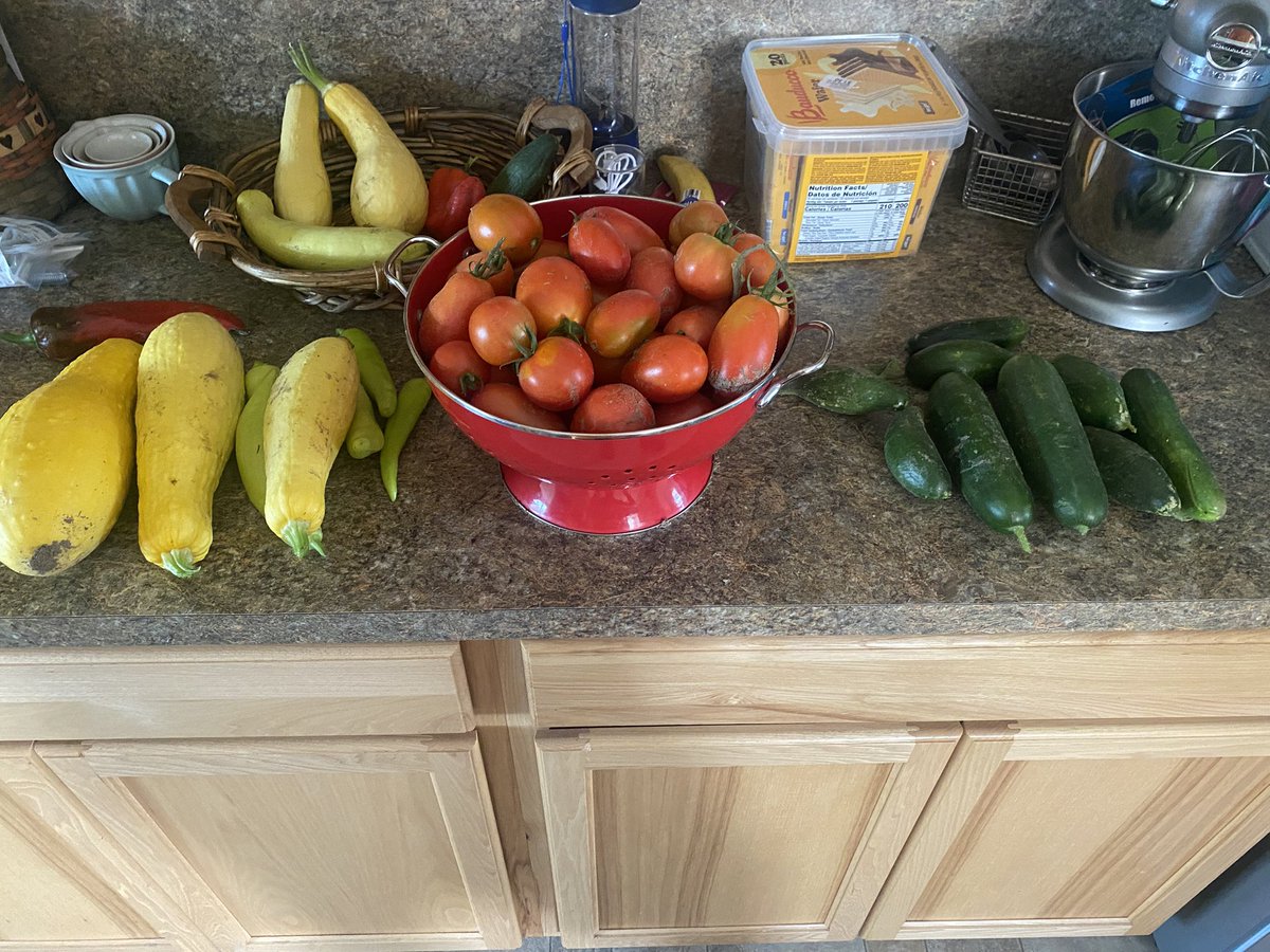 Gardens really giving more than I anticipated tbh. Not complaining by any means