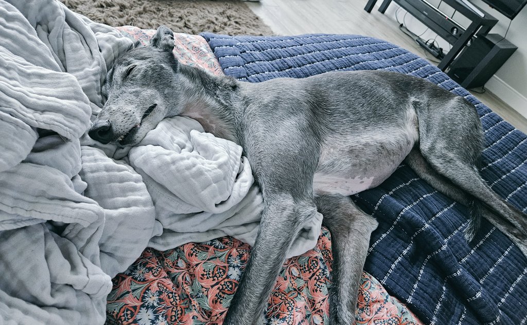 Mayhemily tweet media