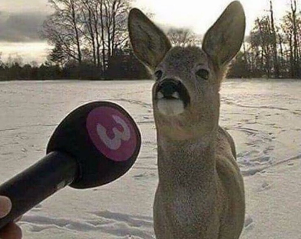 enncs (@enncs2) on Twitter photo 