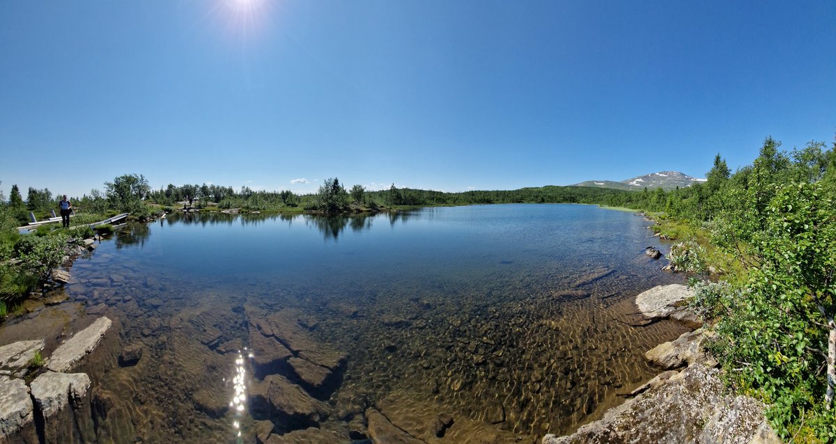 Johan Svedling tweet media