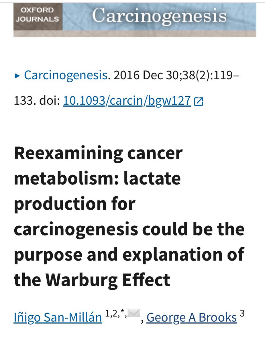 When we proposed the Lactagenesis Hypothesis, people thought we were insane.
Rejected 7 times. Laughed at…At my first conference talk when presented the hypothesis, they wanted to throw tomatoes at me…

The idea? Lacate is the central player in cancer, not a waste product but