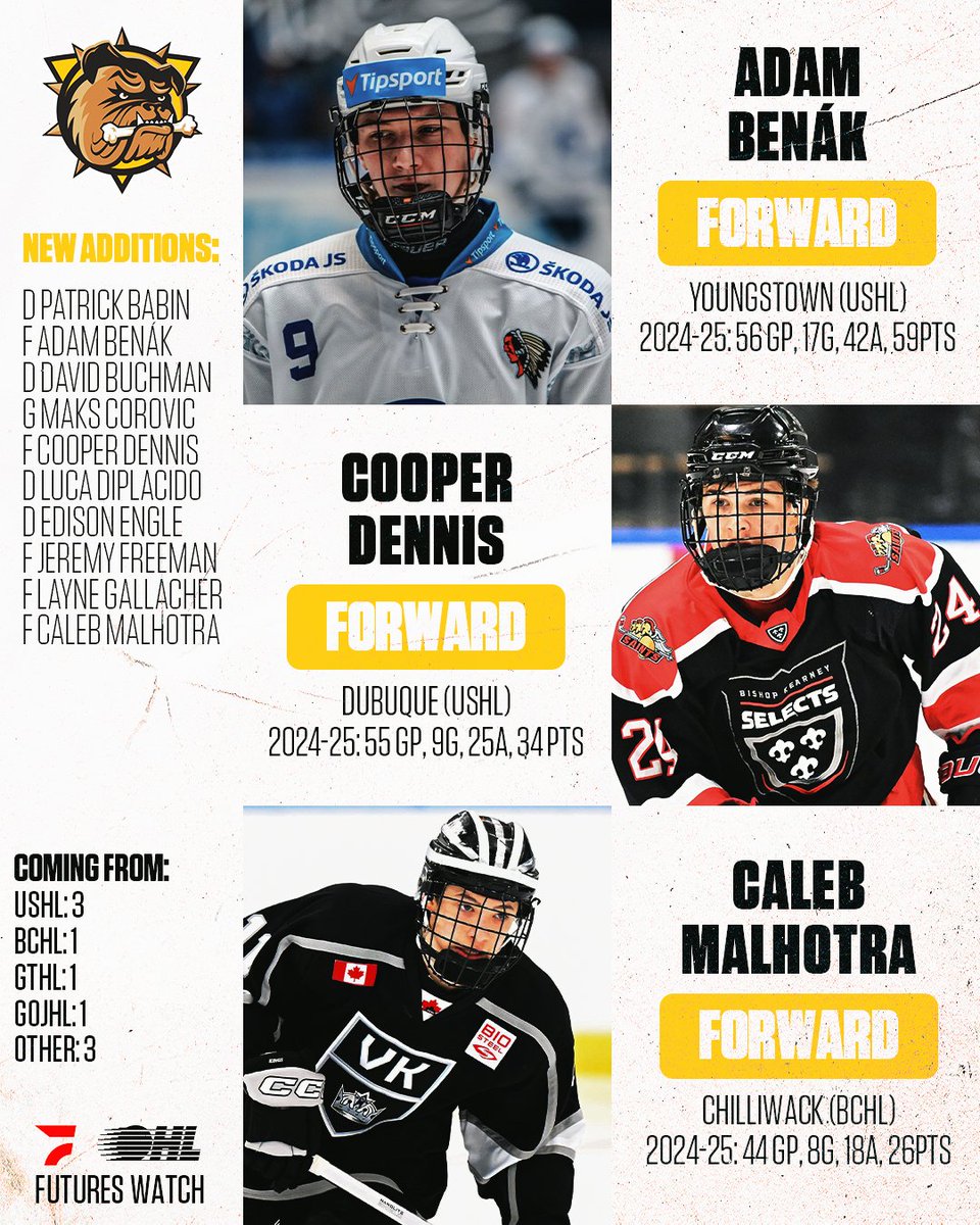 Ontario Hockey League (@ohlhockey) on Twitter photo #OHL Futures Watch: <a href="/BulldogsOHL/">Brantford Bulldogs</a>
The Bulldogs have added a high-skill set class that will have the Madhouse on Market very excited!
DETAILS 🗞️: tinyurl.com/2hj6jcpj #OHL Futures Watch: <a href="/BulldogsOHL/">Brantford Bulldogs</a>
The Bulldogs have added a high-skill set class that will have the Madhouse on Market very excited!
DETAILS 🗞️: tinyurl.com/2hj6jcpj