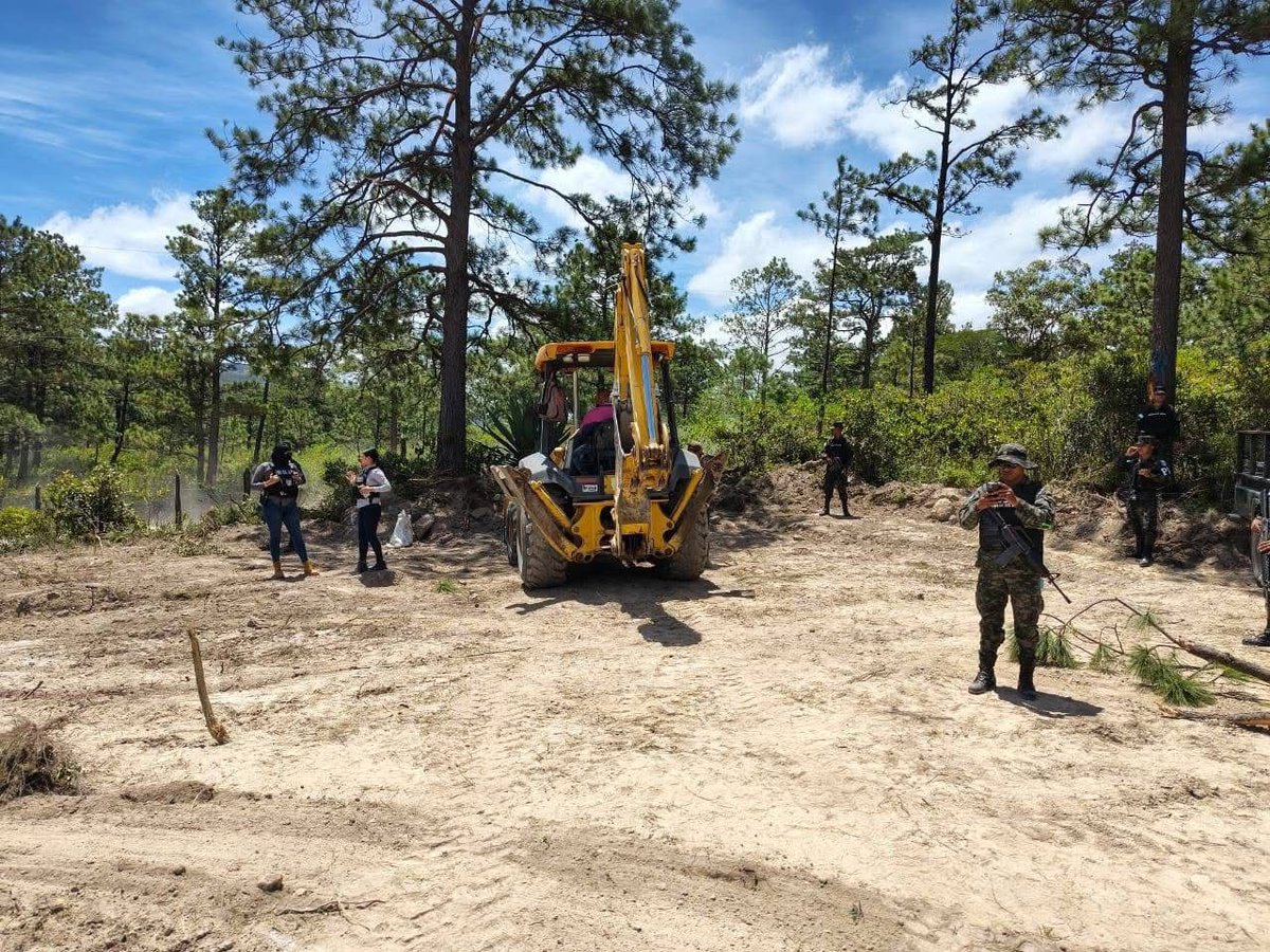 Secretaría de Estado de Defensa Nacional (@sedenahn) on Twitter photo En operaciones de verificación sobre denuncia de actividades ilícitas en un área boscosa en el municipio de Lepaterique, en el departamento de Francisco Morazán, <a href="/FFAAHN/">Fuerzas Armadas de Honduras</a>, junto a fiscales del <a href="/MP_Honduras/">Ministerio Público</a>, técnicos del <a href="/ICFHonduras/">ICF</a> y agentes de la <a href="/dpi_honduras/">Dirección Policial de Investigaciones (DPI)</a>, decomisan En operaciones de verificación sobre denuncia de actividades ilícitas en un área boscosa en el municipio de Lepaterique, en el departamento de Francisco Morazán, <a href="/FFAAHN/">Fuerzas Armadas de Honduras</a>, junto a fiscales del <a href="/MP_Honduras/">Ministerio Público</a>, técnicos del <a href="/ICFHonduras/">ICF</a> y agentes de la <a href="/dpi_honduras/">Dirección Policial de Investigaciones (DPI)</a>, decomisan