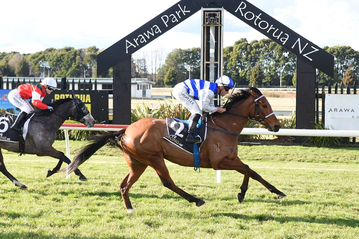 Pencarrow Stud (@pencarrowstud) on Twitter photo Stylish Maiden Win for #LifeOfRiley (NZ) (Turn Me Loose x Persuasive) 
Trained by Steven Ramsay & Julia Ritchie and ridden by champion jockey, Craig Grylls. 
Read more here📰 : pencarrowstud.co.nz/.../stylish-ma…... Stylish Maiden Win for #LifeOfRiley (NZ) (Turn Me Loose x Persuasive) 
Trained by Steven Ramsay & Julia Ritchie and ridden by champion jockey, Craig Grylls. 
Read more here📰 : pencarrowstud.co.nz/.../stylish-ma…...