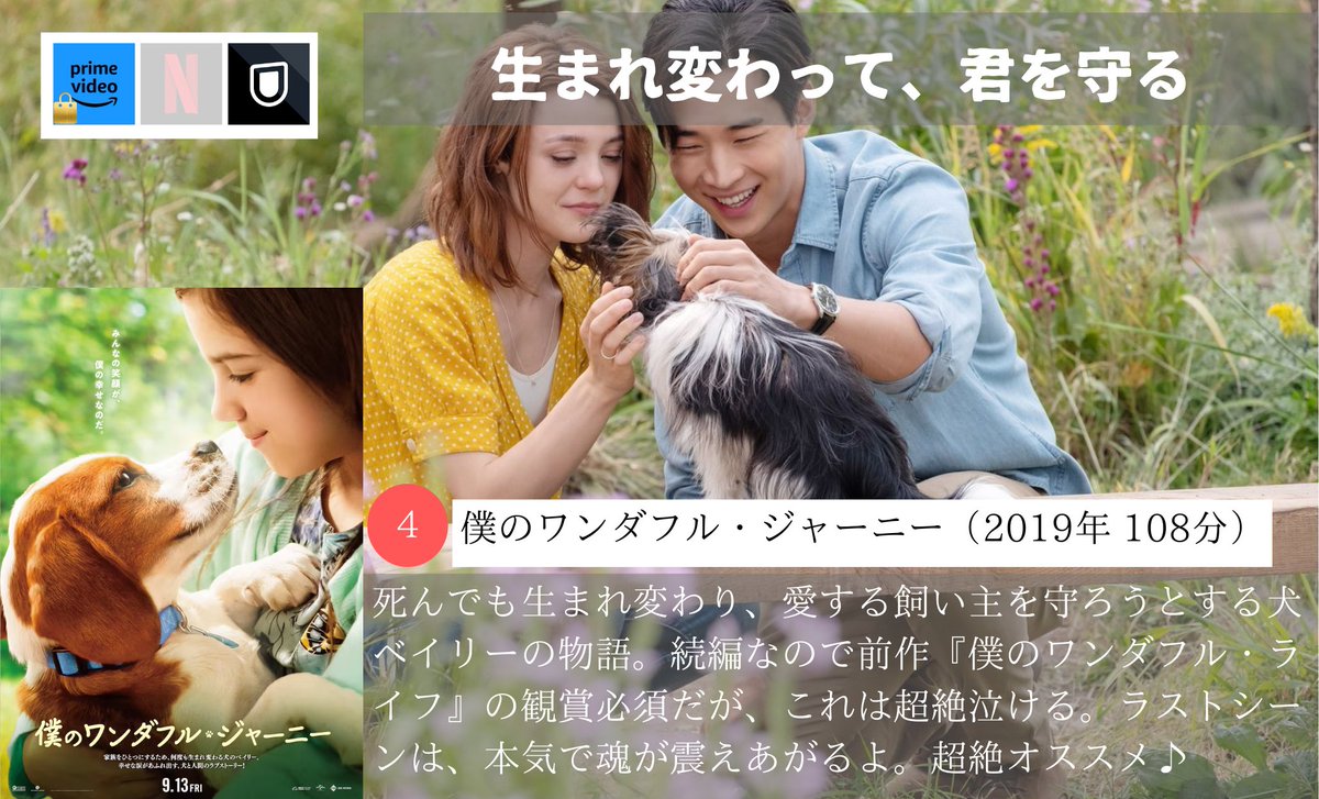 【涙で前が見えなくなるほど、魂が震える映画】4選