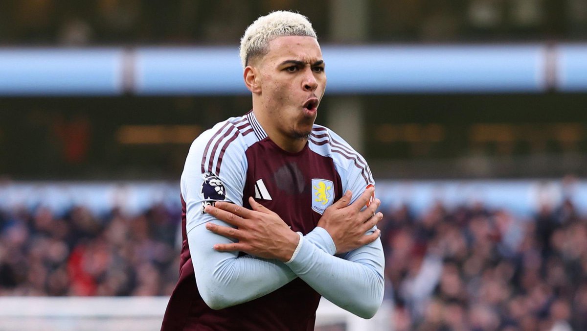 Post by Harry on X: 🥶 🟣 🦁