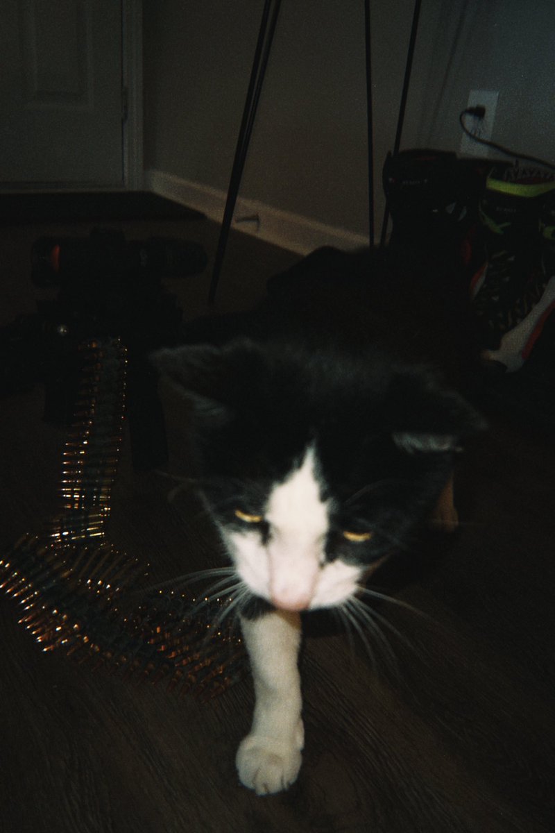 Beans the belt fed enjoyer