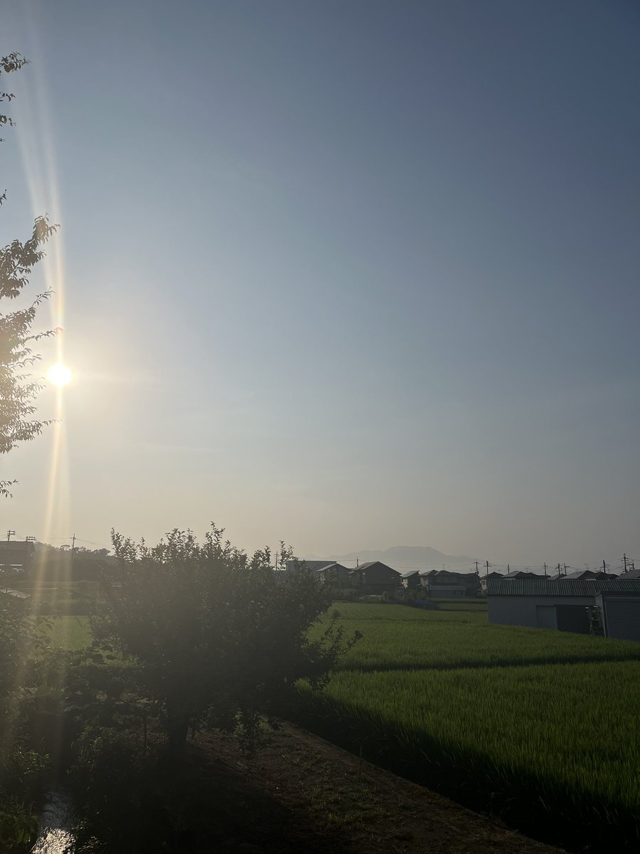e6oh1's tweet photo. おはようございます。暑い日の始まりです。
今日も人生で1番若い日☺️ https://t.co/tTL0SzJc3i