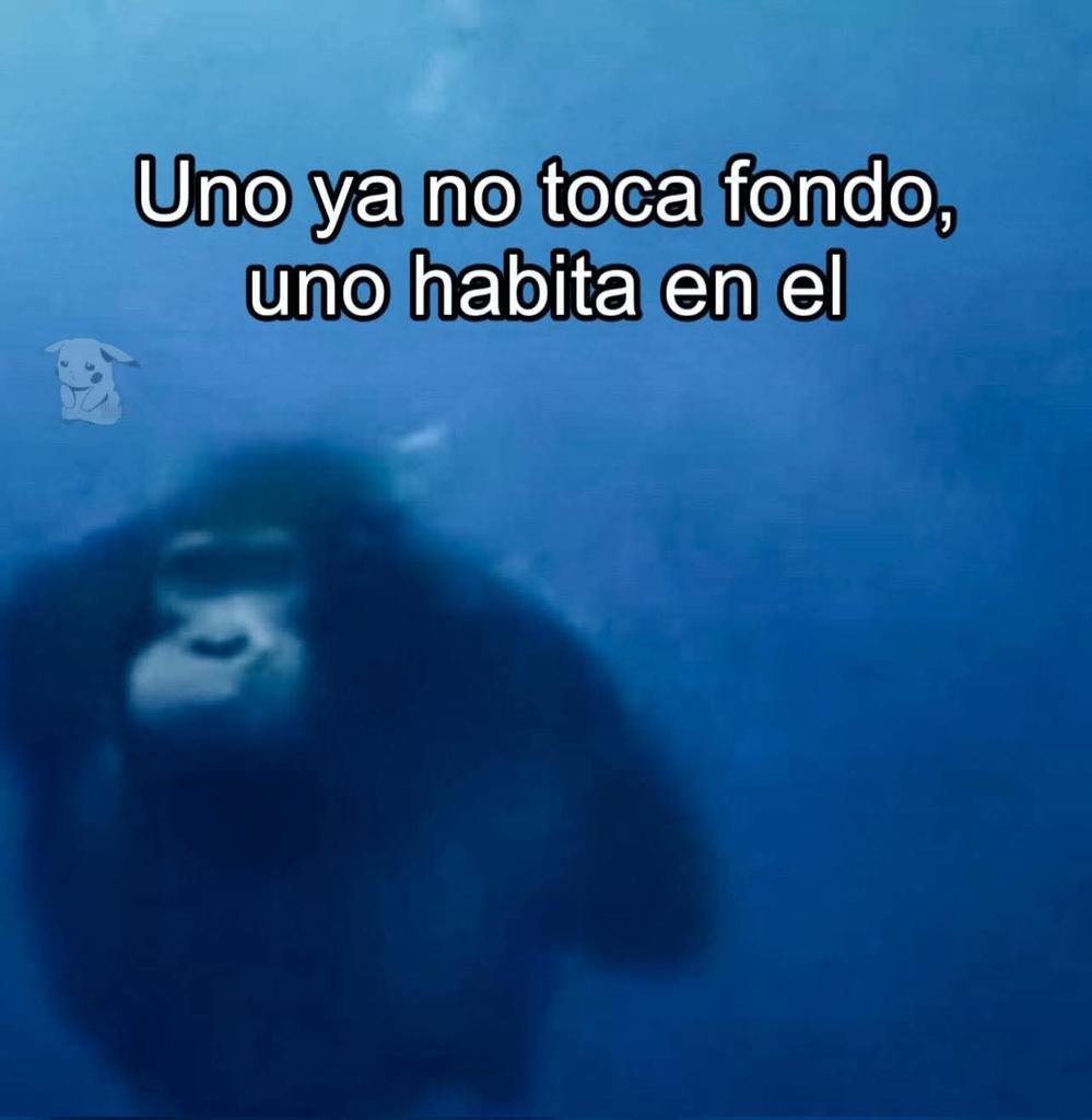 nacional_memes's tweet photo. https://t.co/VJ77ELC3sH