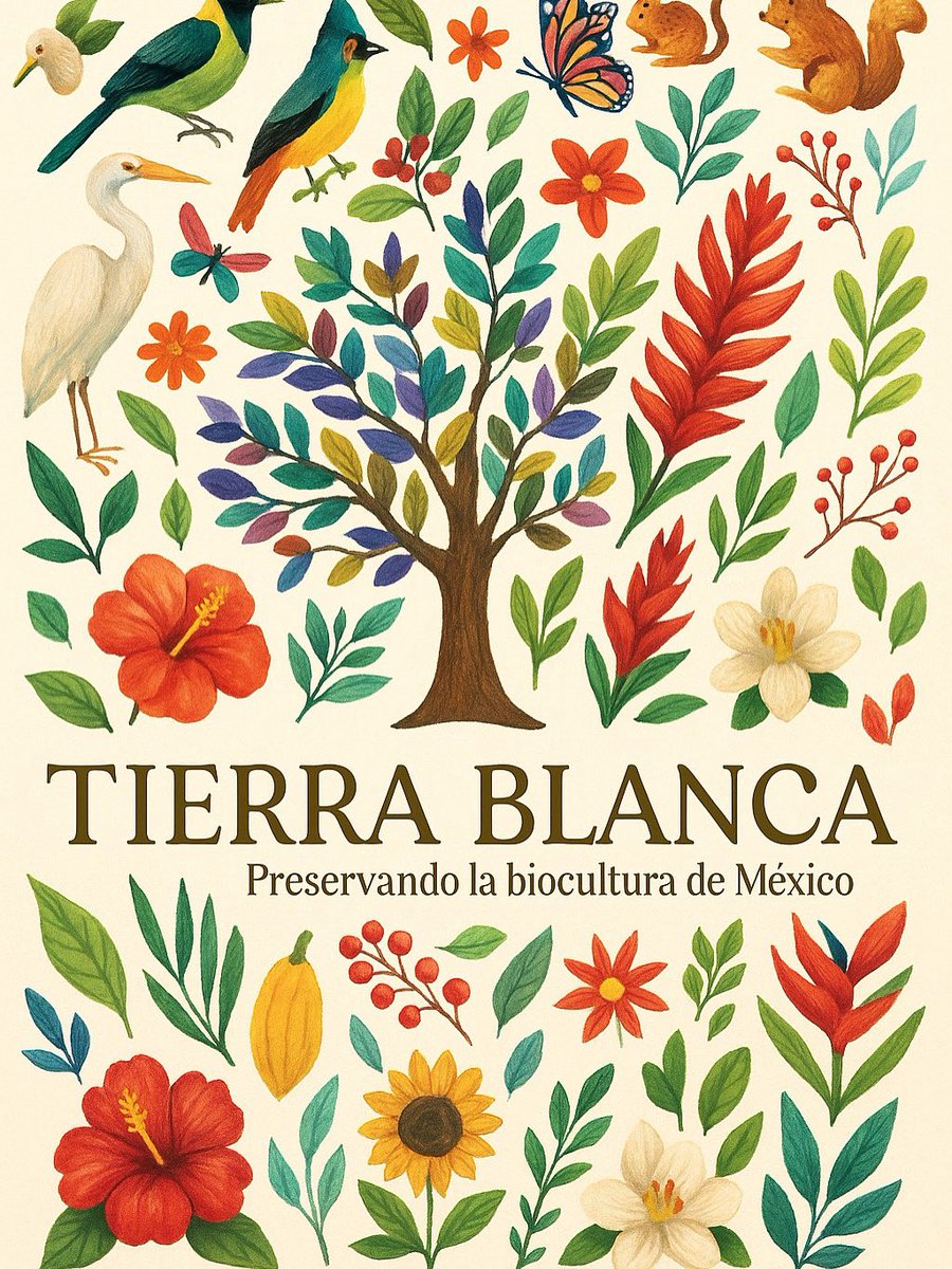 Nuestra misión es preservar el patrimonio cultural y natural mexicano a través de la promoción y venta de productos con identidad territorial que permite a las comunidades seguir produciendo de forma tradicional, revalorar las especies endémicas de México.