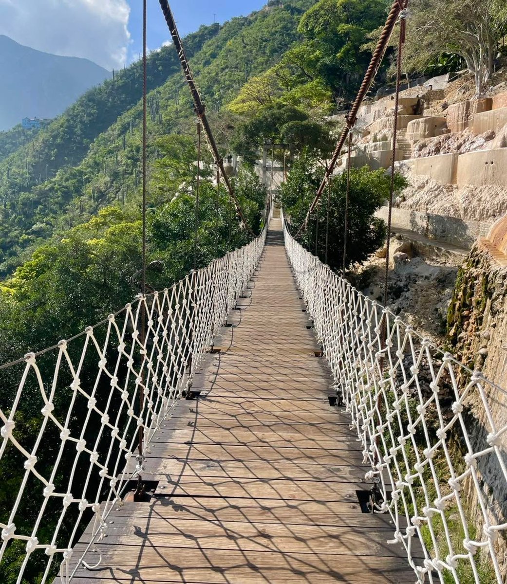 GTolantongo's tweet photo. La mejor vista está en medio de puente ven y descúbrelo . ☀️🌊🌵🏞️

#unoasisasualcance
#grutastolantongo #ConexiónConLaNaturaleza #Experience #MomentosÚnicos #RinconesUnicos #PazNatural #EscapadaNatural #DestinosDeEnsueño #ParaísoNatural #Aventura #BellezaÚnic https://t.co/V1R4Z2tndh