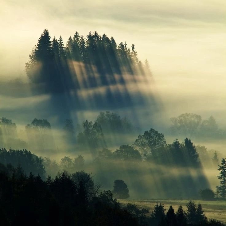 Humanetica's tweet photo. Sometimes we need a fog to remind ourselves that all of life is not black and white https://t.co/bpxSKsxWma