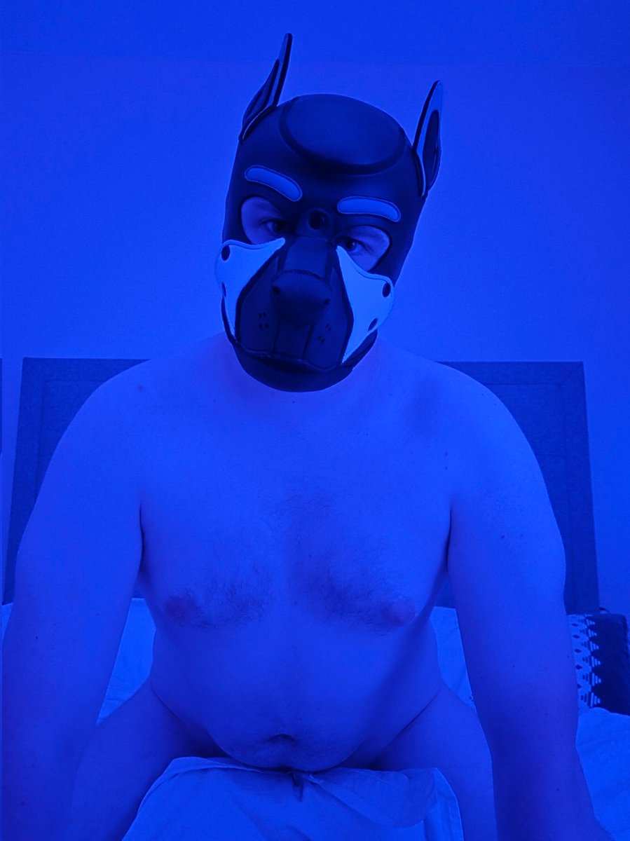 Maniacal Mercury tweet media