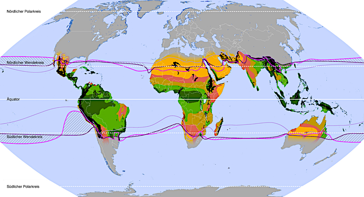 Die Bestände tropischer #Vögel haben sich seit 1980 im Vergleich zu einer Welt ohne #Klimawandel  um rund ein Drittel (25-38 Prozent) verringert. Grund dafür sind immer intensivere Hitzeextreme, so das Potsdam-Institut für Klimafolgenforschung (#PIK): epo.de/25729-klimawan…