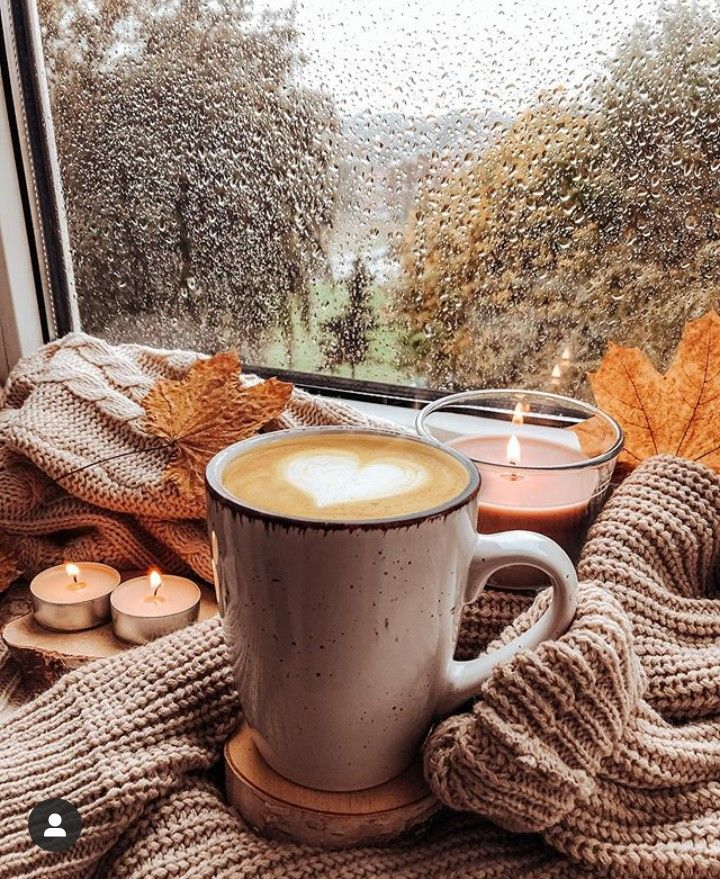 SophieKearing's tweet photo. Good morning, everyone! Here's your cozy coffee! Good news: Starbucks fall drinks are coming out August 26th! I can't wait! 🍂☕️😊♥️😘 https://t.co/m5L5I3QIwL