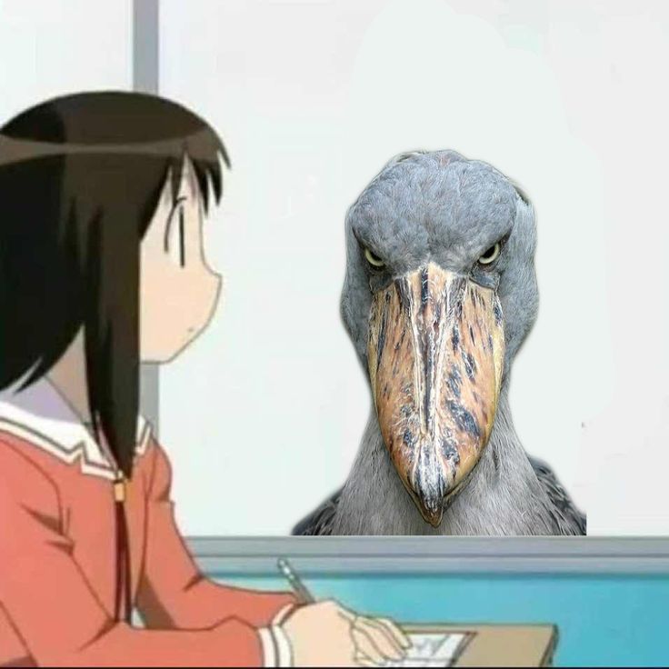 13 de agosto 

La vida es buena hasta que te das cuenta que necesitas plata para pagar las putas