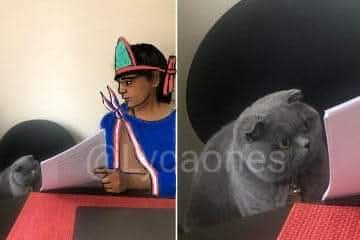 -¿Qué se conmemora el 13 de agosto?
--La caída de Tlatelolco.
-¿Y por qué pusiste «la caída de Tenochtitlan»?