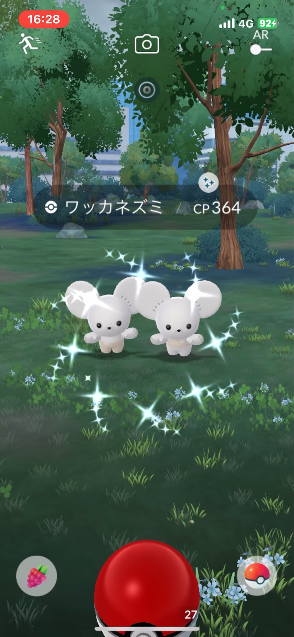 イッカネズミ色違い - Search / X