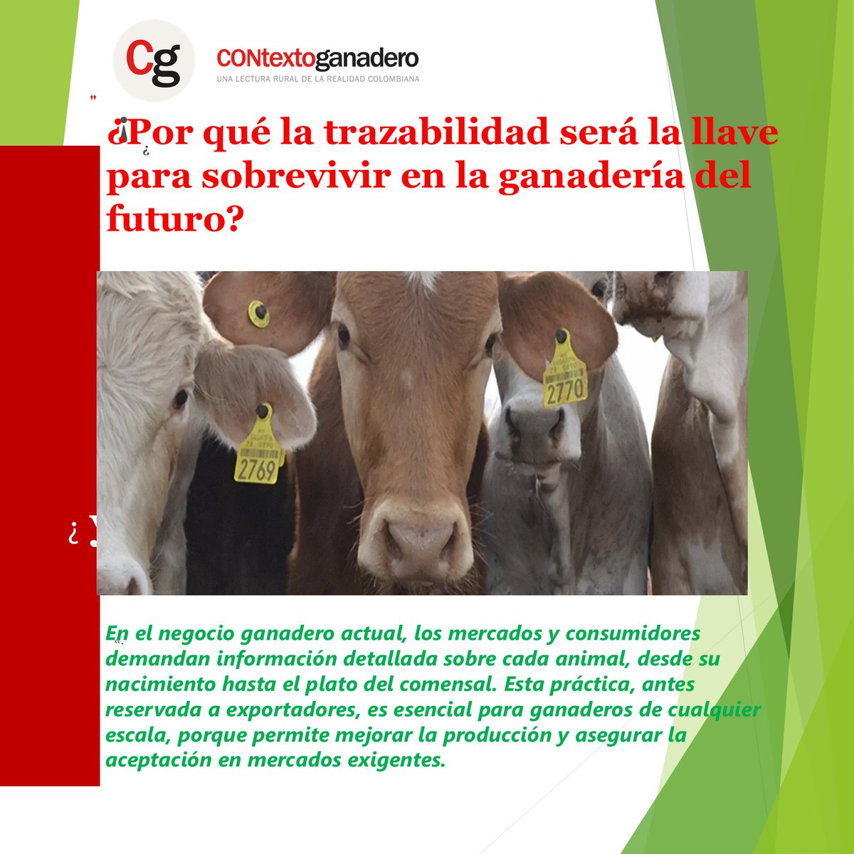 P.Fedegan.Monteria (@nicolas28450686) on Twitter photo La trazabilidad ya no es opcional: es el pasaporte a mercados exigentes y mejores precios. Conozca cómo aplicarla y asegurar la supervivencia de su negocio.
<a href="/jflafaurie/">José Félix Lafaurie</a>
<a href="/Fedegan/">FEDEGAN</a>
<a href="/ContGanadero/">CONtexto Ganadero</a>
<a href="/Montelibanopl/">Montelíbano Pasión Ganadera</a>
<a href="/PLArboletes/">Arboletes Pasión Ganadera</a>
<a href="/FCerete/">Cereté - Córdoba - Colombia</a>
Seguir leyendo ⬇️
contextoganadero.com/ganaderia-sost… La trazabilidad ya no es opcional: es el pasaporte a mercados exigentes y mejores precios. Conozca cómo aplicarla y asegurar la supervivencia de su negocio.
<a href="/jflafaurie/">José Félix Lafaurie</a>
<a href="/Fedegan/">FEDEGAN</a>
<a href="/ContGanadero/">CONtexto Ganadero</a>
<a href="/Montelibanopl/">Montelíbano Pasión Ganadera</a>
<a href="/PLArboletes/">Arboletes Pasión Ganadera</a>
<a href="/FCerete/">Cereté - Córdoba - Colombia</a>
Seguir leyendo ⬇️
contextoganadero.com/ganaderia-sost…