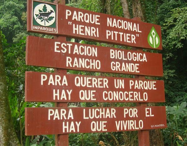 #13Ago de 1857 nace en Suiza, Henri Pittier, naturalista y botánico suizo, pionero de la creación de los Parques Nacionales en Venezuela y creador del Herbario Nacional. Nuestro primer parque nacional lleva su nombre. Pittier falleció en Caracas el 27ENE1950