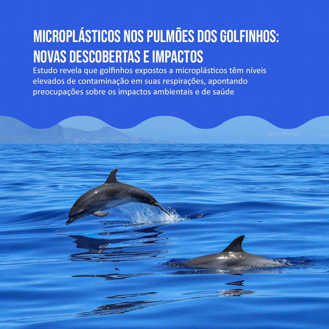 Microplásticos nos pulmões dos golfinhos: novas descobertas e impactos
Estudo revela que golfinhos expostos a microplásticos têm níveis elevados de contaminação em suas respirações

Veja: pick-upau.org.br/plasticnothank…
Conheça: plasticnothanks.org
<a href="/nacaomitsubishi/">Mitsubishi Motors BR</a>
