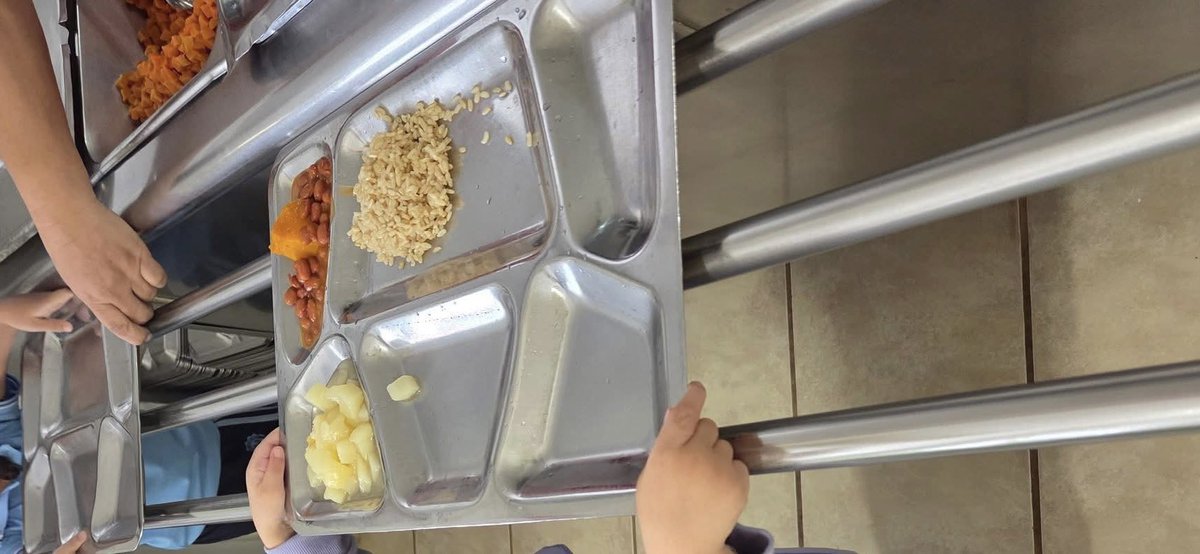 lamendez1411's tweet image. Menû de hoy en la ehhhcuela😳 que pasô no llegô la compra la nevera pelà bendito!!! #backtoschool2025  #firstdayofhighschool