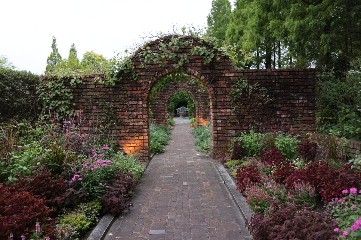 おはようございます。