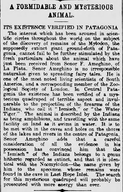 A Formidable And Mysterious Animal (Water Tiger)

Hull Evening News, Hull, Humberside, England · Thursday, November 23, 1899
