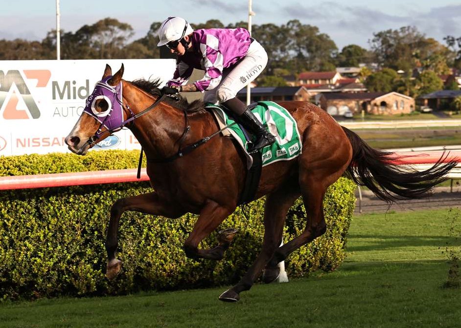 “He won this race last year and it would be a real good look for him to win it two years in a row."

Tony Ball sends two horses including proven wet tracker Run Rory Run into Friday's Livermore Cup at Taree. 📸Trackside

READ: tinyurl.com/sns6y3ym