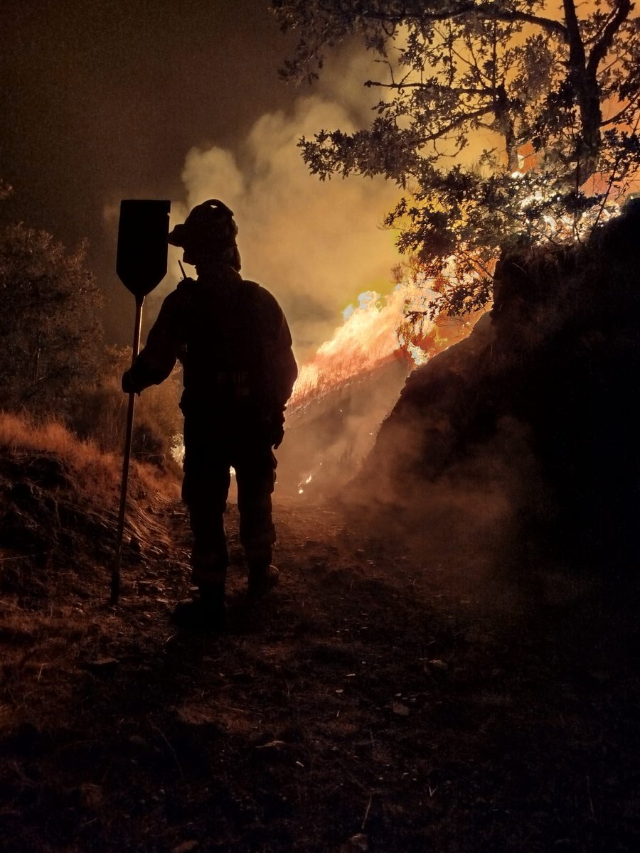 #Brif Laza desde su creación lidera intervenciones en España.Esta campaña llevamos 37 incendios,16 activaciones d disponibilidad y más d 12 días seguidos d servicio. Actuamos con profesionalidad,eficacia y compromiso,con absoluta vocación servicio público y a pesar de eso...(1/3)